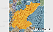 Political Map of Ngara, semi-desaturated