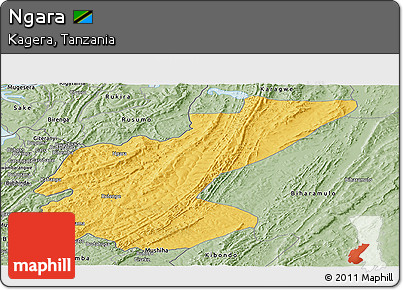 Savanna Style Panoramic Map of Ngara