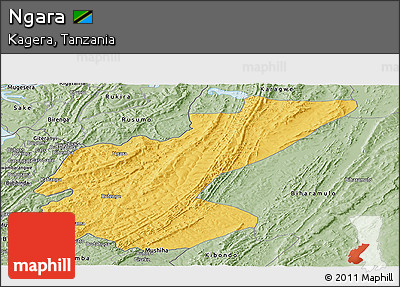 Savanna Style Panoramic Map of Ngara