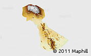 Physical 3D Map of Kilimanjaro, single color outside