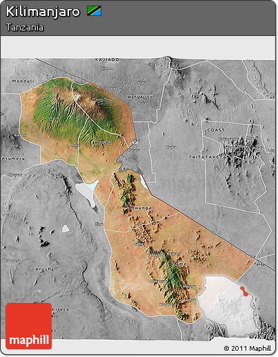 Satellite 3D Map of Kilimanjaro, desaturated