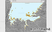 Physical 3D Map of L. Victoria, desaturated