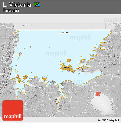 Physical 3D Map of L. Victoria, lighten, desaturated
