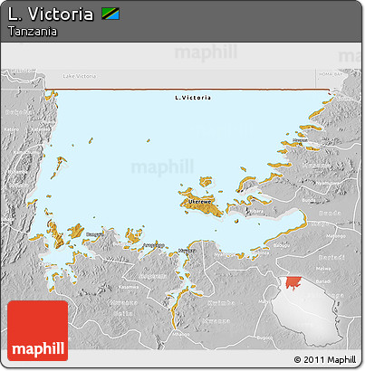 Physical 3D Map of L. Victoria, lighten, desaturated