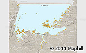 Physical 3D Map of L. Victoria, lighten, semi-desaturated
