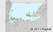 Satellite 3D Map of L. Victoria, lighten, desaturated