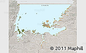 Satellite 3D Map of L. Victoria, lighten, semi-desaturated