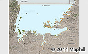 Satellite 3D Map of L. Victoria, semi-desaturated