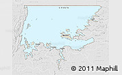 Shaded Relief 3D Map of L. Victoria, lighten, desaturated