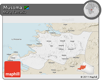 Classic Style 3D Map of Musoma