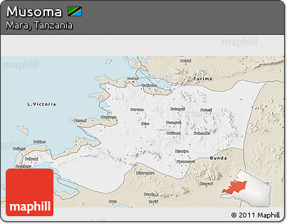 Classic Style 3D Map of Musoma