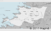 Gray 3D Map of Musoma