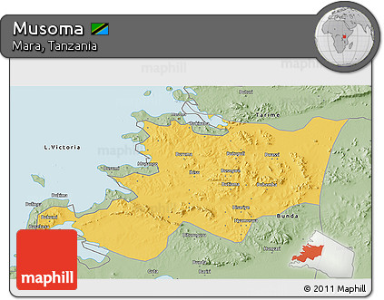 Savanna Style 3D Map of Musoma