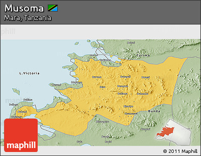 Savanna Style 3D Map of Musoma