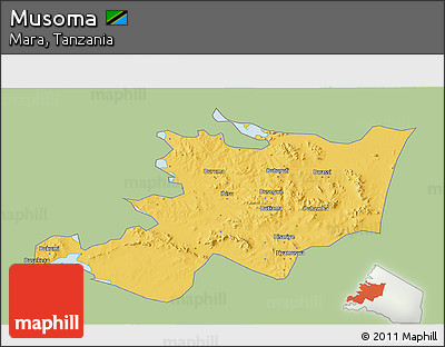 Savanna Style 3D Map of Musoma, single color outside