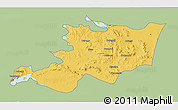Savanna Style 3D Map of Musoma, single color outside