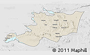 Shaded Relief 3D Map of Musoma, lighten, desaturated