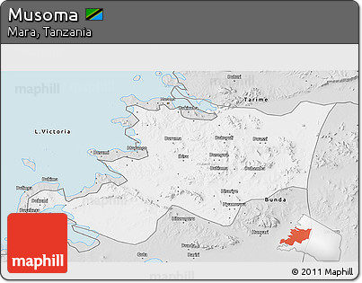 Silver Style 3D Map of Musoma
