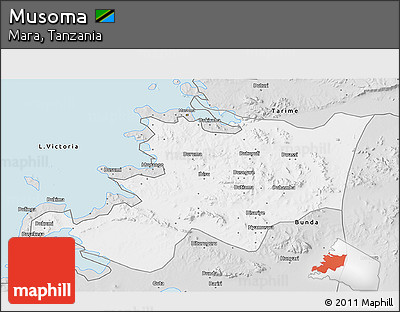 Silver Style 3D Map of Musoma