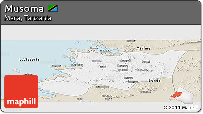Classic Style Panoramic Map of Musoma