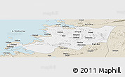 Classic Style Panoramic Map of Musoma