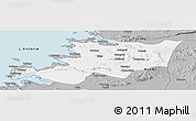Gray Panoramic Map of Musoma