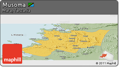 Savanna Style Panoramic Map of Musoma