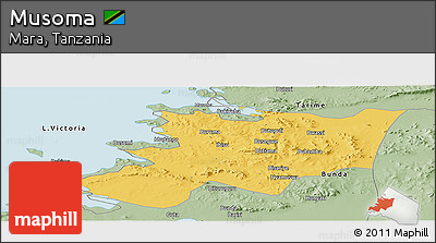 Savanna Style Panoramic Map of Musoma