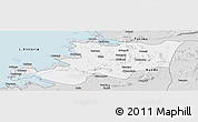 Silver Style Panoramic Map of Musoma