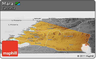 Physical Panoramic Map of Mara, desaturated