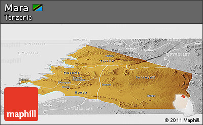 Physical Panoramic Map of Mara, lighten, desaturated