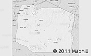Silver Style 3D Map of Serengeti