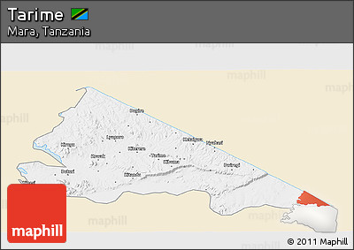 Classic Style 3D Map of Tarime, single color outside