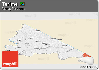 Classic Style 3D Map of Tarime, single color outside
