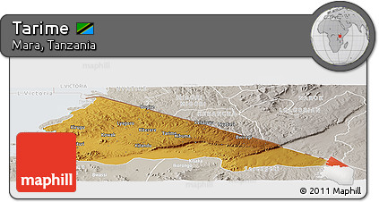 Physical Panoramic Map of Tarime, lighten, semi-desaturated