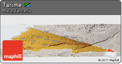 Physical Panoramic Map of Tarime, lighten, semi-desaturated
