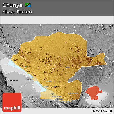 Physical 3D Map of Chunya, desaturated