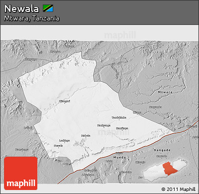 Gray 3D Map of Newala