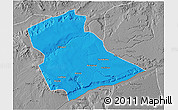 Political 3D Map of Newala, desaturated