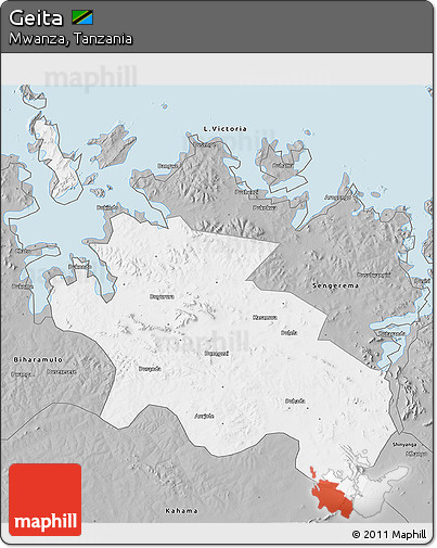Gray 3D Map of Geita