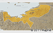 Physical 3D Map of Magu, semi-desaturated