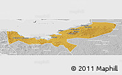 Physical Panoramic Map of Magu, lighten, desaturated