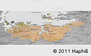 Satellite Panoramic Map of Mwanza, desaturated