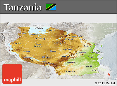 Physical Panoramic Map of Tanzania, lighten, semi-desaturated