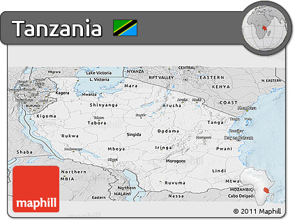 Silver Style Panoramic Map of Tanzania