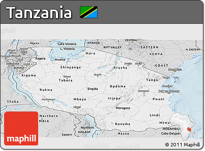Silver Style Panoramic Map of Tanzania