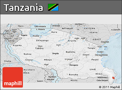 Silver Style Panoramic Map of Tanzania