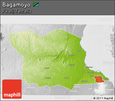 Physical 3D Map of Bagamoyo, lighten, desaturated