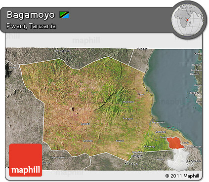 Satellite 3D Map of Bagamoyo, semi-desaturated