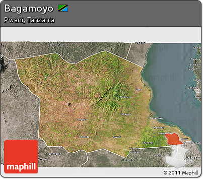 Satellite 3D Map of Bagamoyo, semi-desaturated